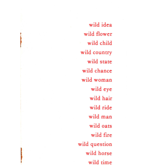 Bundle #6 - Wild Idea…Wild Hope